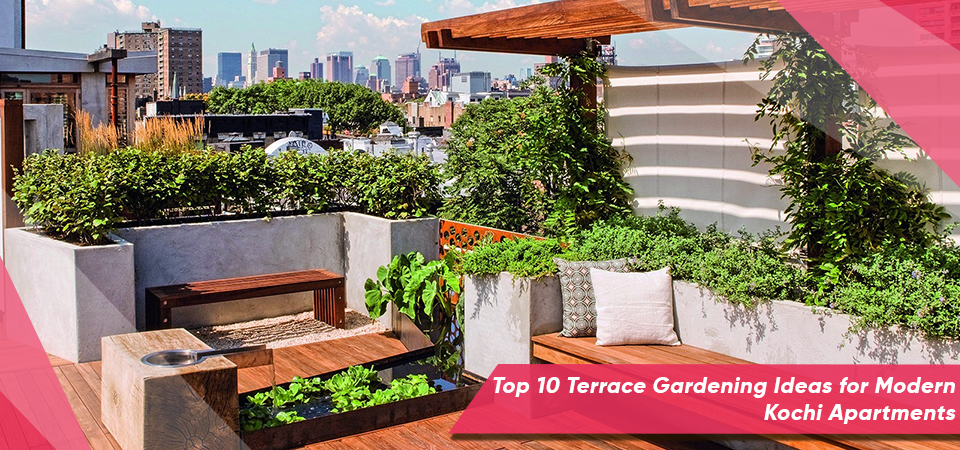 Top 10 Terrace Gardening Ideas for Modern Kochi Apartments
